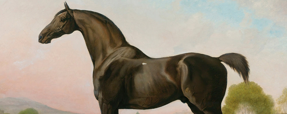 George Stubbs