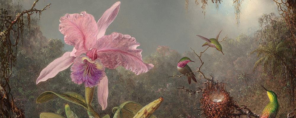 Martin Johnson Heade